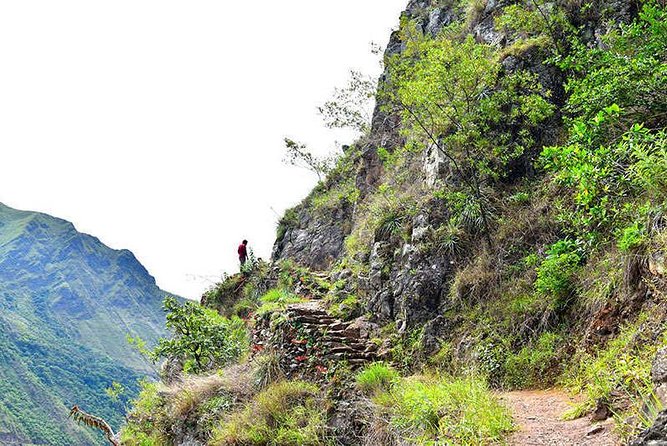 07 Day: Inca Jungle Adventure with Mountain Bike, Rafting, Zipline & Trek - Day 4: Historic trail walking, tropical fruit, and zipline