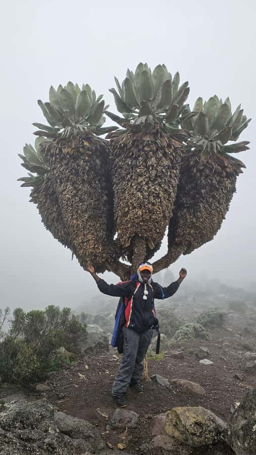 #1. Best Kilimanjaro Day hike Tour-Machame Route-ISMANI - Guides make the biggest difference