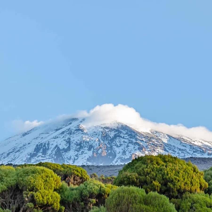 #1. Best Kilimanjaro Day hike Tour-Machame Route-ISMANI - Entering Machame Gate and the rainforest