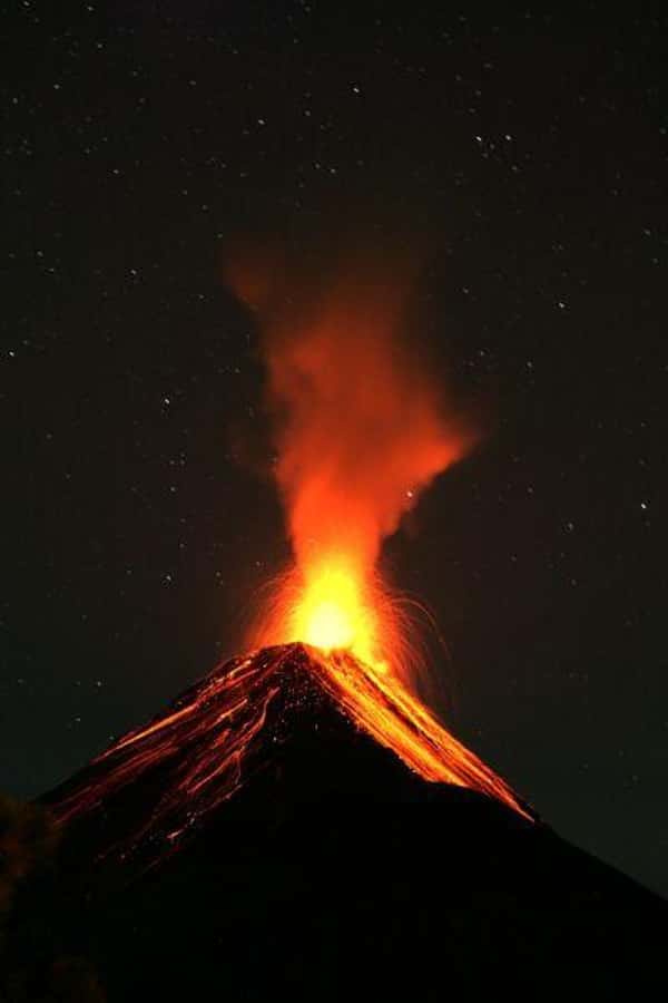 1 Day Acatenango Volcano Hike from Antigua - Pine forest, dry forest, and the exposed tree line