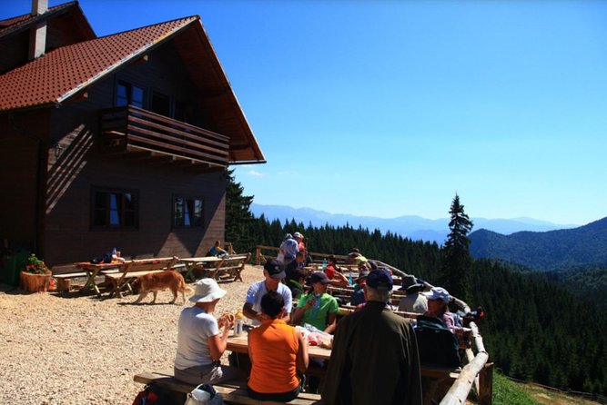 1 day CARPATHIAN PEAKS & CHALETS hike - Curmătura Chalet at 1,470 meters
