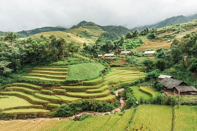 1 day Fansipan Trekking - Key points at a glance