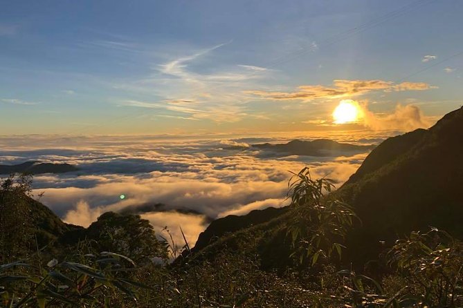 1 day Fansipan Trekking - Walking down or paying for the cable car