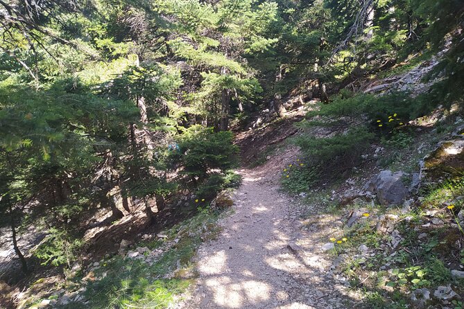 1 Day Parnitha Athens Private Hiking Tour with Hotel Pickup - Price and value at $180.23 per person
