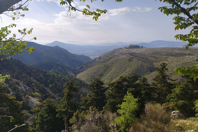 1 Day Parnitha Athens Private Hiking Tour with Hotel Pickup - Fir forest and the first stretch of trail