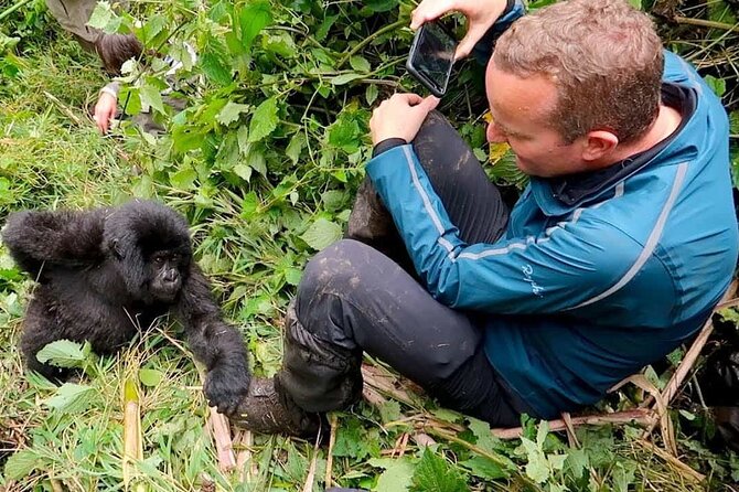 1 Day Rwanda Gorilla Trekking Tour In The Volcanoes National Park - The 4:30 am pickup from Kigali