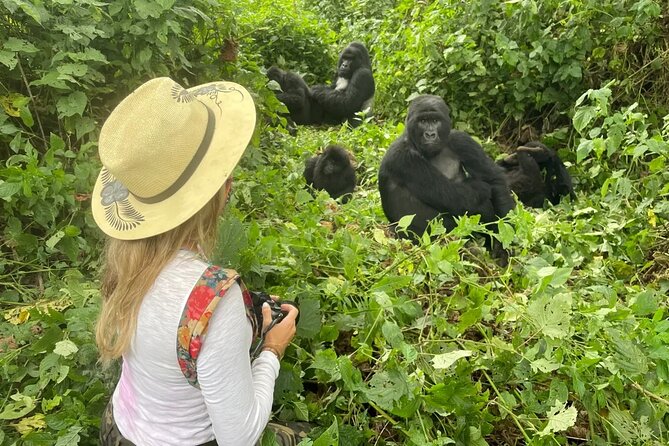 1 Day Rwanda Gorilla Trekking Tour In The Volcanoes National Park - What the gorilla trek is really like