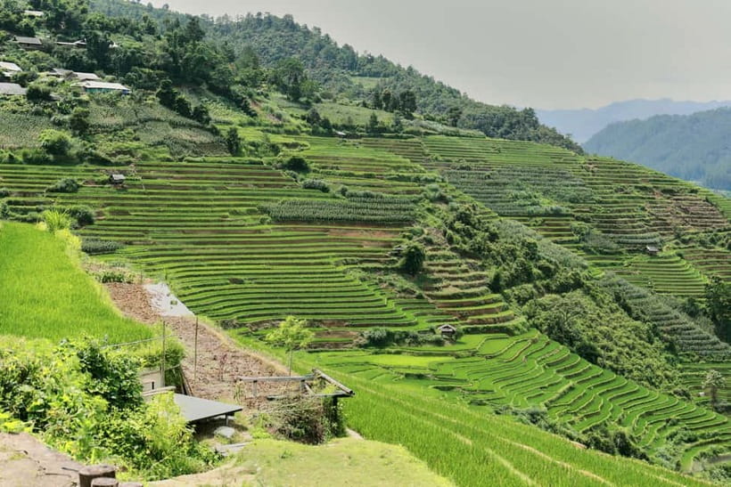 1-Day Sapa Long Trek - Rice Field Terrace, Ethnic Culture - Lao Chai Sang lunch with a Hmong family