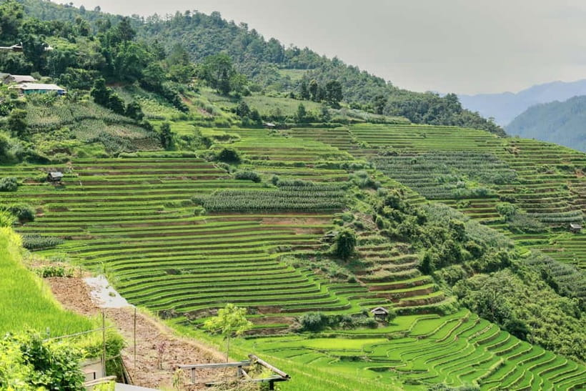 1-Day Sapa Long Trek - Rice Field Terrace, Ethnic Culture - The hard truth about mud, rain, and fitness