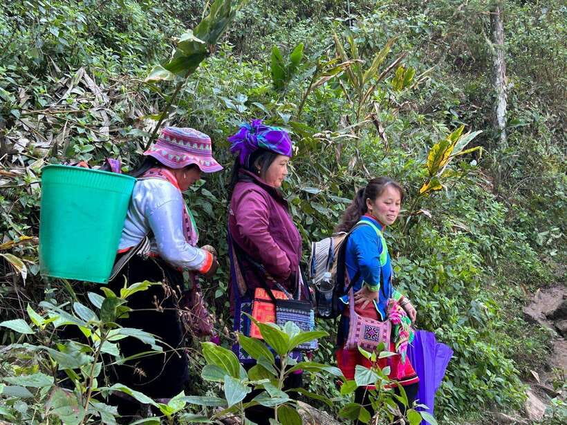 1 Day Sapa Trek&Home-cooked Lunch HmongSisterHouse&Trekking - Why this Sapa walk feels different