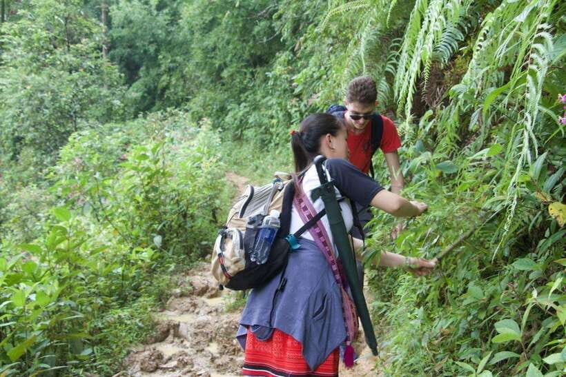 1 Day Sapa Trek&Home-cooked Lunch HmongSisterHouse&Trekking - Rice paddies, village paths, and wide valley views