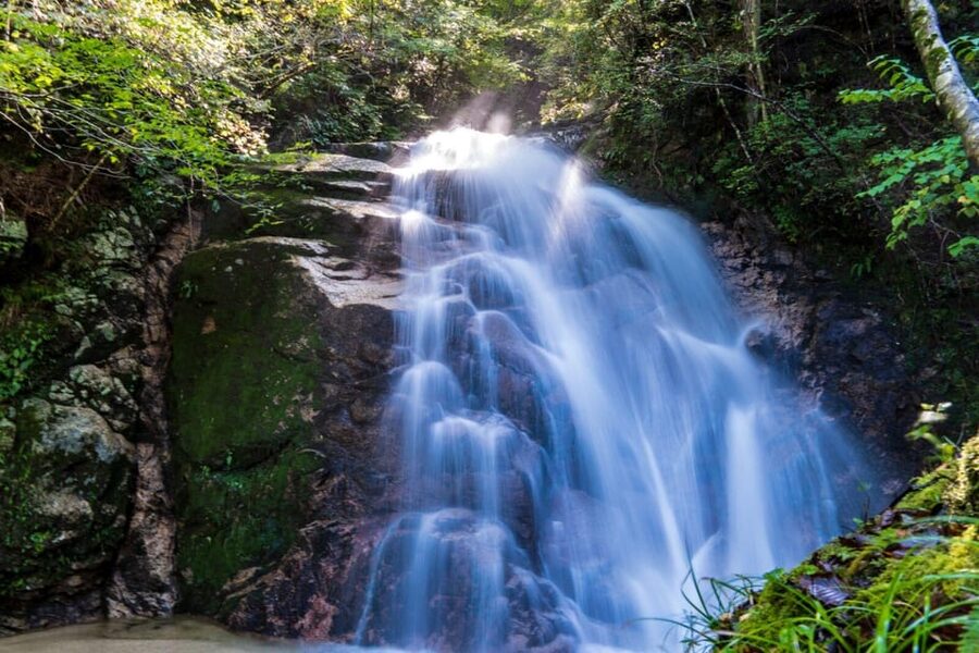 1-Day Tour from Nagoya: Hiking the Historic Nakasendo Trail - The non-hiking choice for a gentler day