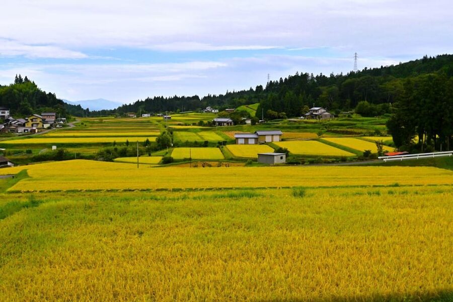 1-Day Tour from Nagoya: Hiking the Historic Nakasendo Trail - Why the Nakasendo Trail makes a good day from Nagoya