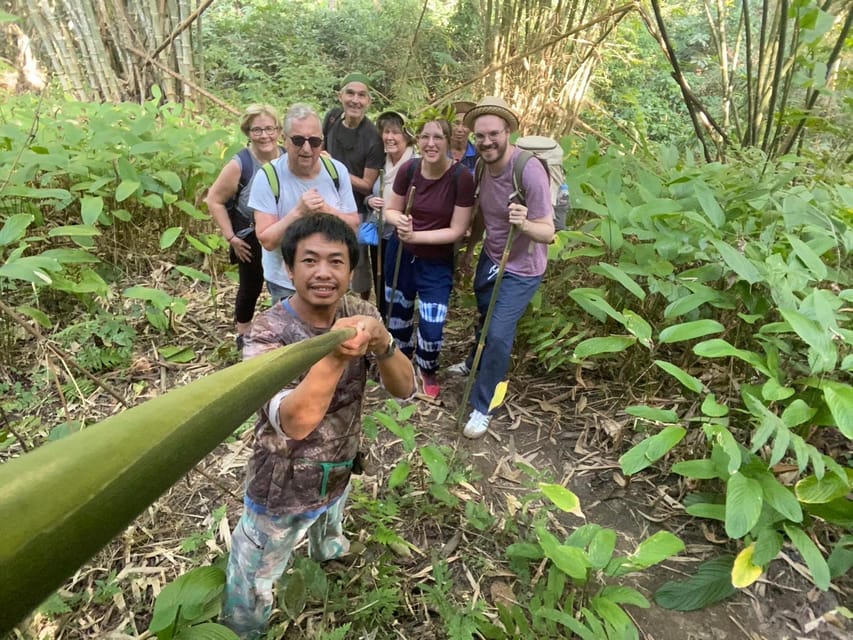 1 Day trekking : Chiang Rai popular activity,Fun in Nature. - Through bamboo forest to the Lisu village