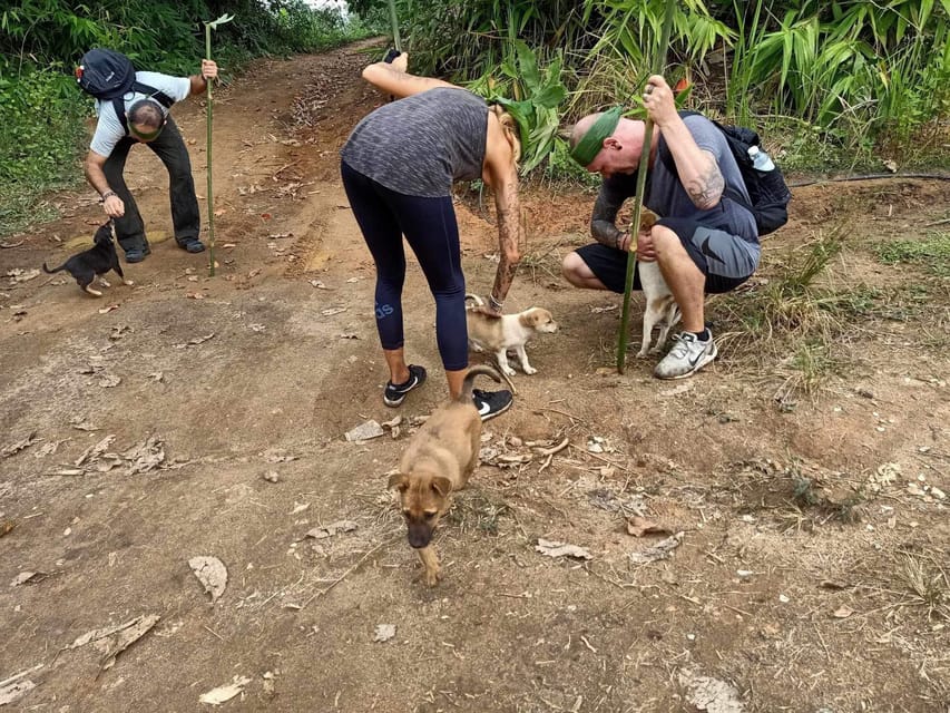 1 Day trekking : Chiang Rai popular activity,Fun in Nature. - Swimming at Huay Kaew waterfall