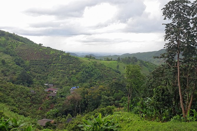 1 Day Trekking Group Tour With Bamboo Cooking / Chiang Rai - A hard climb earns its lunch