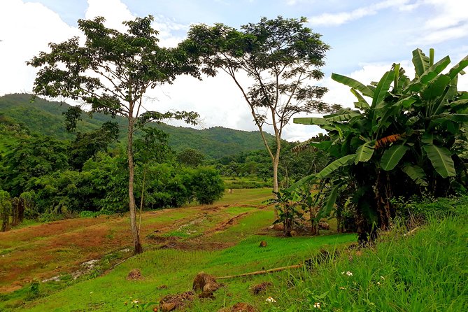 1 Day Trekking Group Tour With Bamboo Cooking / Chiang Rai - What the 15-kilometer trek feels like