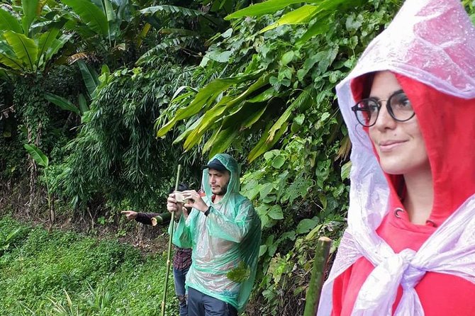 1 Day Trekking Group Tour With Bamboo Cooking / Chiang Rai - Guides who make the difference