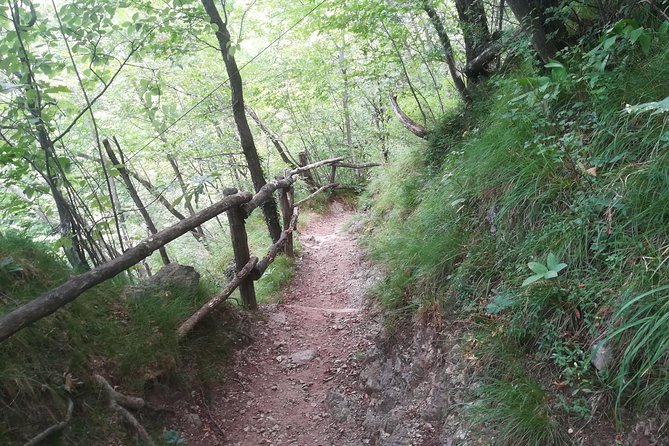 1 Day Trekking - Il Sentiero del Viandante: BELLANO. VARENNA - Timing, meeting details, and weather