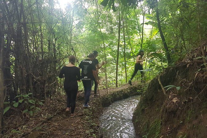 1 Day Trekking in Chiang Mai - A mountain day built around real places