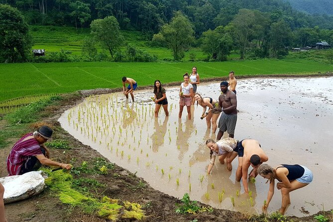 1 Day Trekking in Chiang Mai - Entering a cave and reaching the waterfall