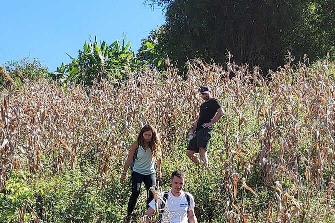 1 Day Trekking in Chiang Mai - What private touring changes