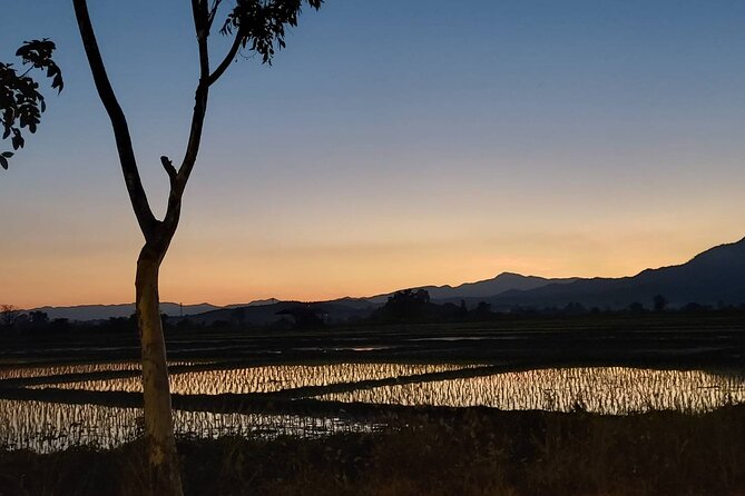 1 Day Trekking in Chiang Mai - How the day compares with other Loolu outings