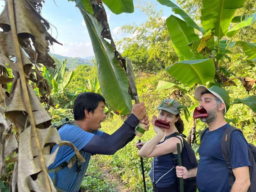 1 Day Trekking in Chiang Rai forest (walk only) - Starting from Chiang Rai’s hot springs