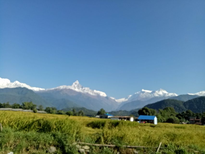 1 N 2 Days easy Dhampus,Australian camp trek from Pokhara - Day two: sunrise, Dhampus, and the return to Pokhara