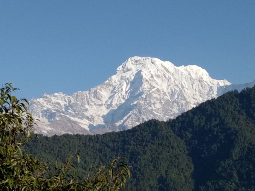 1 N 2 Days easy Dhampus,Australian camp trek from Pokhara - Who should choose this trek