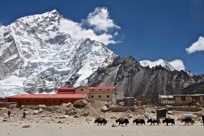 12 Days Everest Base Camp Trek - Day 9: Kala Patthar gives you the mountain view