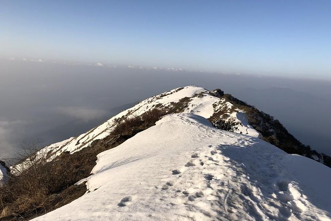 14-Day Private Annapurna Base Camp Trek - Day 5: Poon Hill and the forest route to Tadapani
