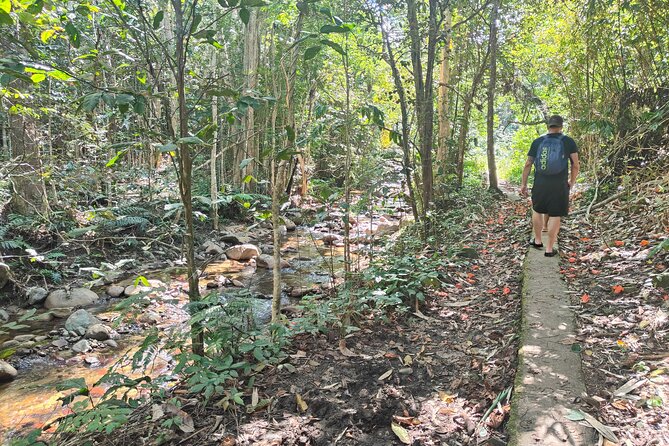 16 Lines Zipline, Cave, Hiking & Biausevu Waterfall Combo Tour - A village welcome and traditional kava