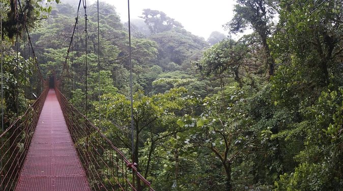 2-Day Extreme Nature Hike from La Fortuna to Monteverde - Key points to know before you book