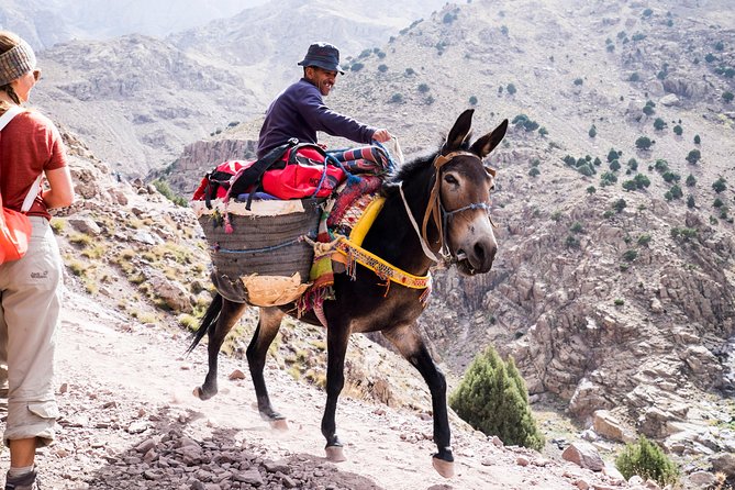 2 day mount toubkal trek ( private trek ) - Key points at a glance