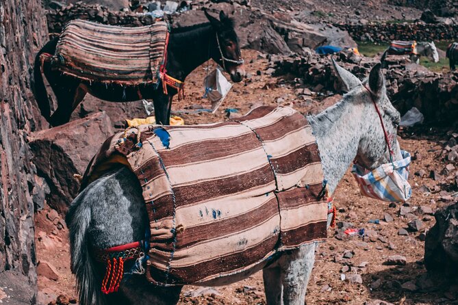 2 day mount toubkal trek ( private trek ) - The 4:30 am climb to Mount Toubkal’s summit