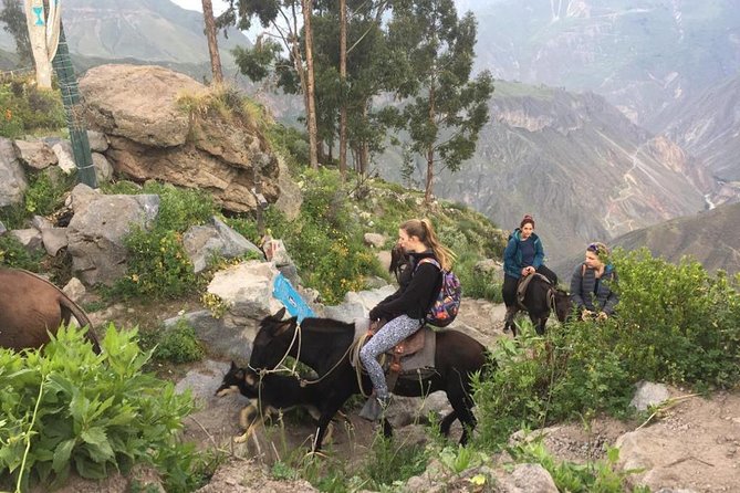 2 Day Trek Including Transfer to Puno / Colca Canyon - Overnight in Sangalle: useful, but basic