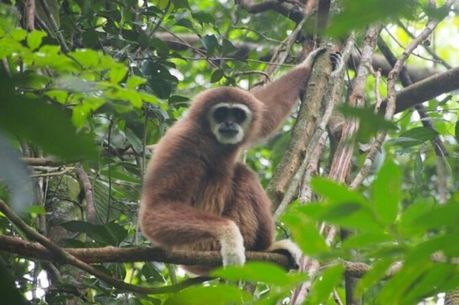 2 Days 1 Night Ethical Jungle Trekking - Why this trek is different from a short jungle walk