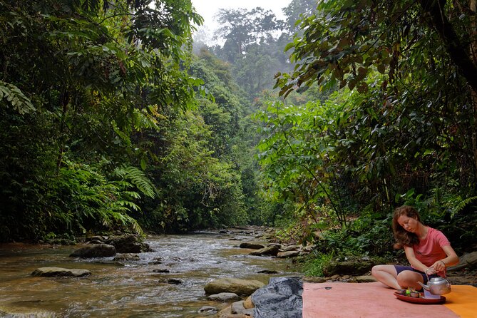 2 Days 1 Night Ethical Jungle Trekking - Day two: plants, wildlife, and the route back