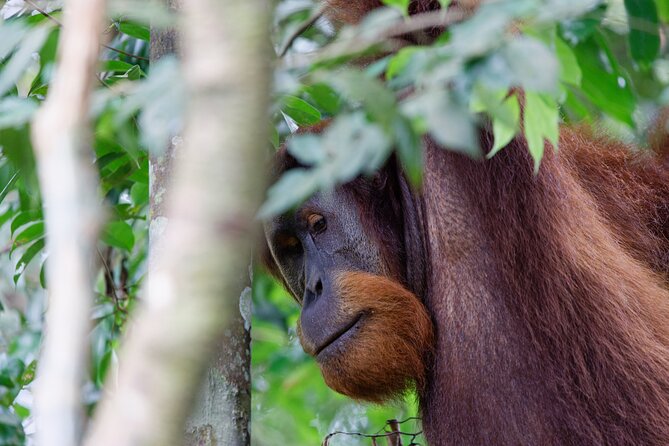 2 Days 1 Night Ethical Jungle Trekking - Who should book this two-day jungle trip