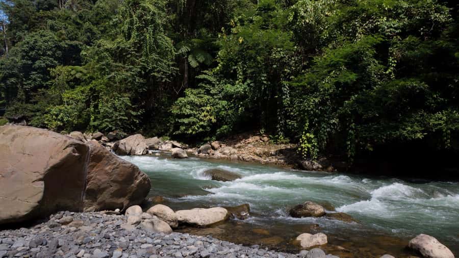 2 Days 1 Night Orangutan Trek Bukit Lawang - Riverbank camping near the Bohorok River