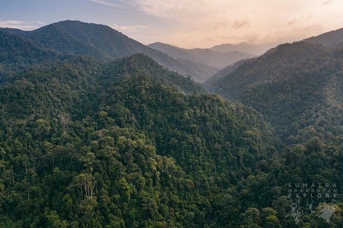 2 Days and 1 Night Ethical Jungle Trek - Why this trek feels different from a day walk