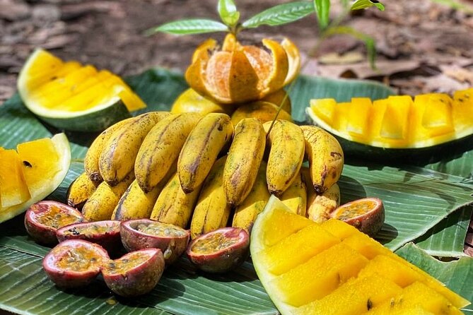 2 Days and 1 Night Ethical Jungle Trek - The rainforest camp near water