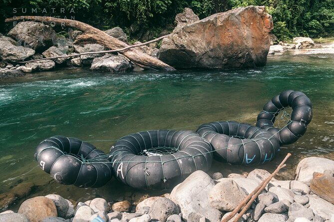 2 Days and 1 Night Ethical Jungle Trek - What the $146.62 price covers