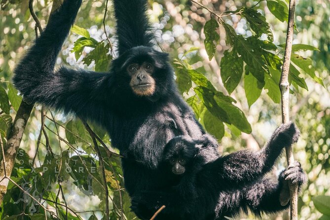 2 Days and 1 Night Ethical Jungle Trek - The ethical question