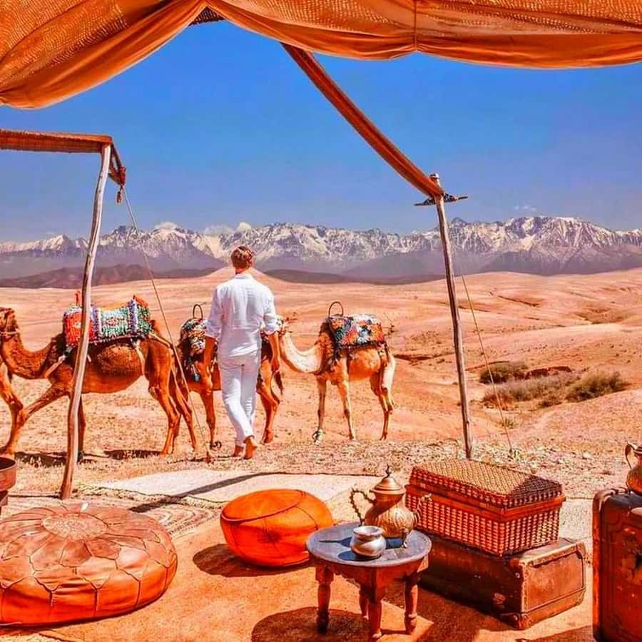 2 Days Desert Agafay and Atlas Mountains Trek From Marrakech - Food, guides, and the human side of the trip