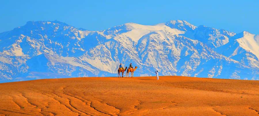 2 Days Desert Agafay and Atlas Mountains Trek From Marrakech - What $100 really buys you