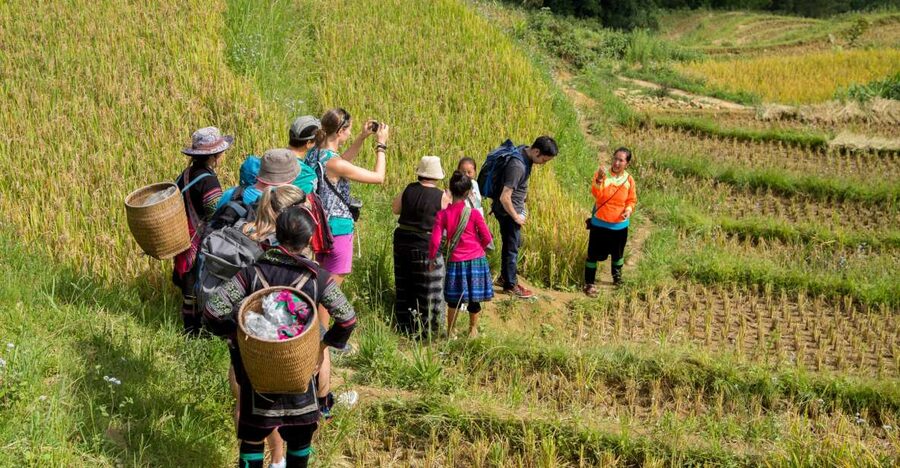 2 Night Lao Chai-Ta Van Homestay- Trekking & Fansipan Visit - Day two: Lao Chai San to Ta Van