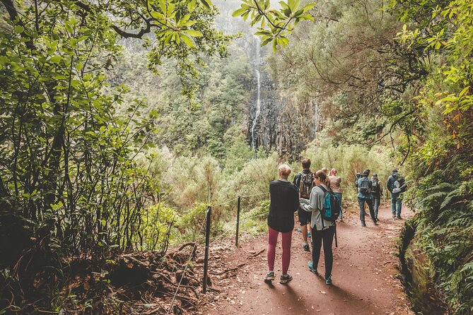 25 Fountains Levada: Hiking Tour in Madeira Rabaçal Valley (PR6) - Following the levada to the waterfalls