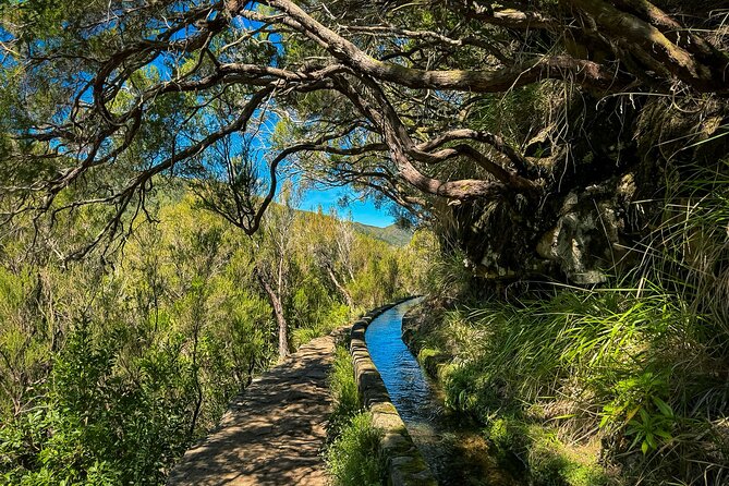 25 Fountains Levada: Hiking Tour in Madeira Rabaçal Valley (PR6) - The 800-meter tunnel and the final views